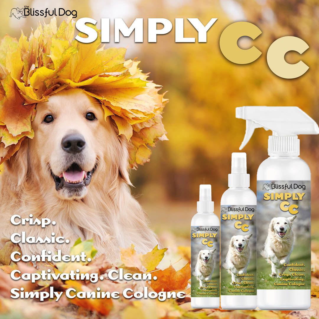 golden retriever in leaves